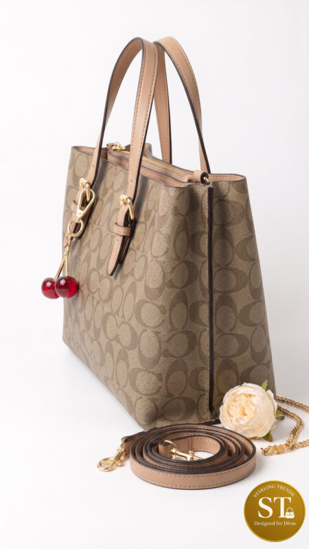 COACH INSPIRED CHEERY LUXE (SOIL) Handbag