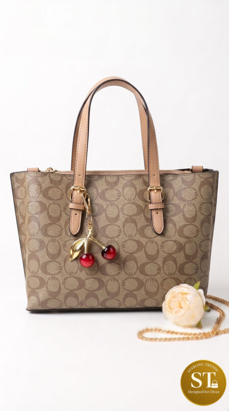 COACH INSPIRED CHEERY LUXE (SOIL) Handbag