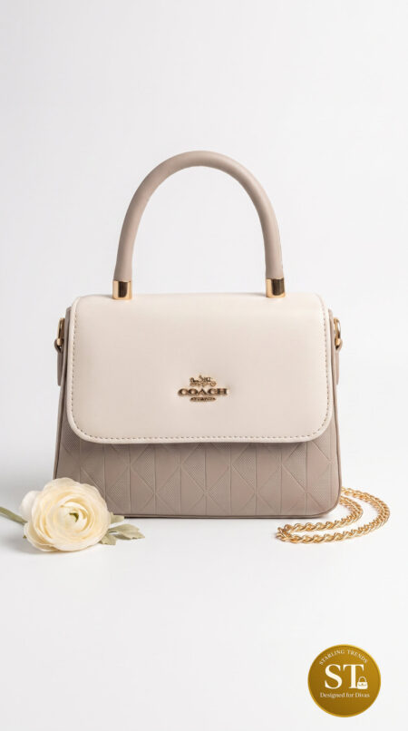 COACH INSPIRED Diva Duo SLING BAG (GREY)